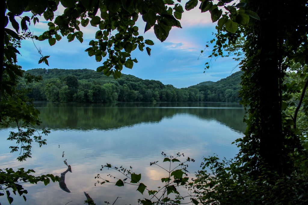 lake mountain trees view radnor lake nashville tennessee
