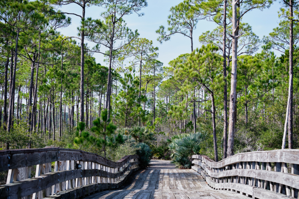 Wooden footbridge to Jolee Island, Sandestin, Florida